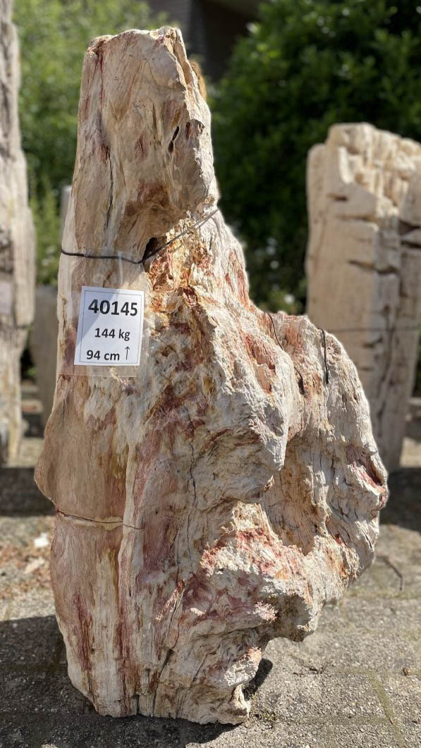 Lápida madera petrificada 40145