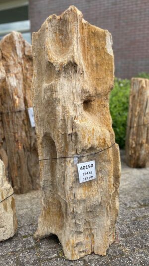 Lápida madera petrificada 40150