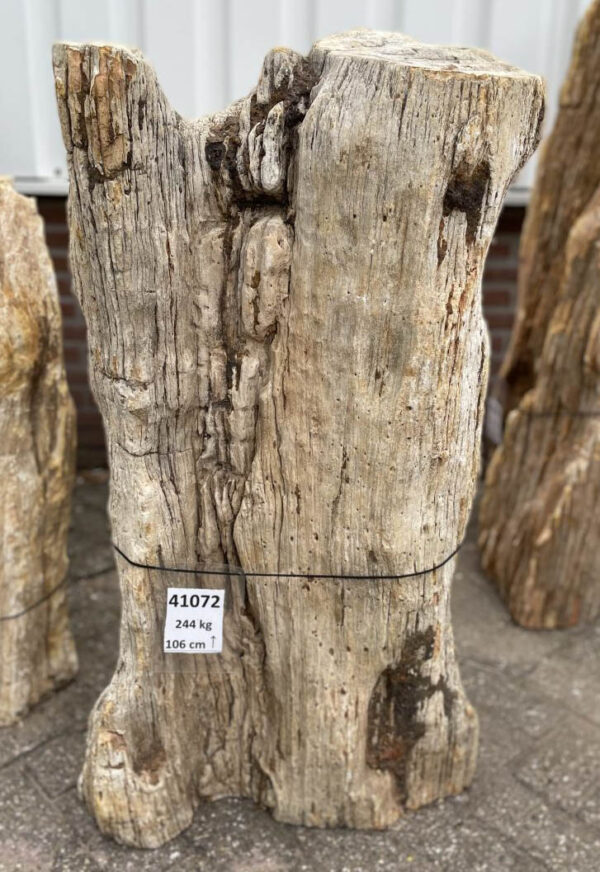Lápida madera petrificada 41072