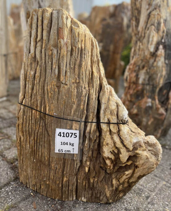 Lápida madera petrificada 41075