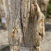 Lápida madera petrificada 41100