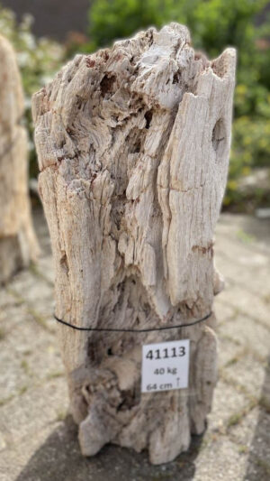 Lápida madera petrificada 41113