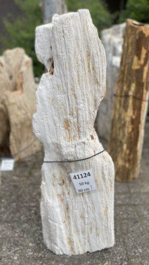 Lápida madera petrificada 41124