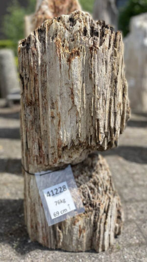 Lápida madera petrificada 41228