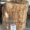 Memorial stone petrified wood 34051