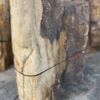Memorial stone petrified wood 34051