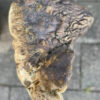 Memorial stone petrified wood 34051