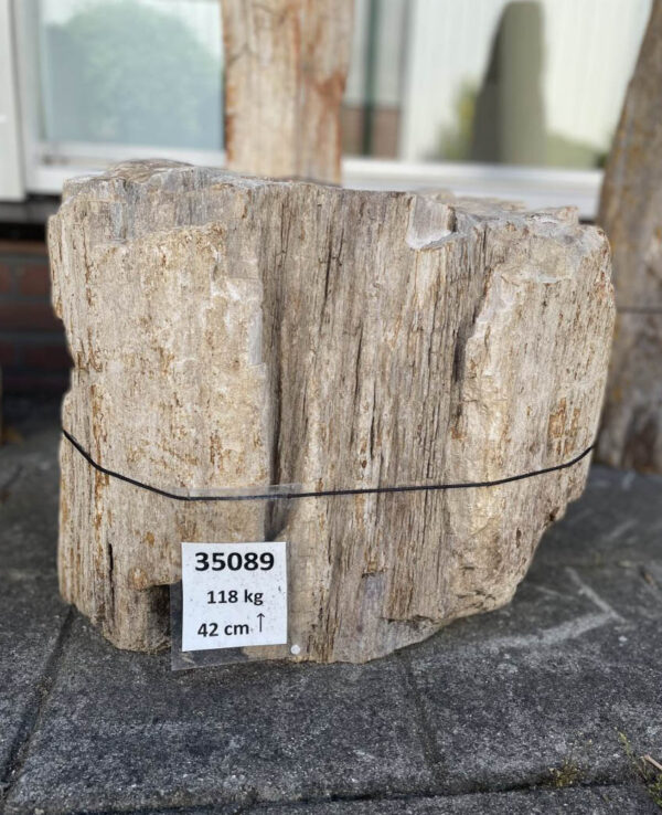 Memorial stone petrified wood 35089