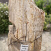 Memorial stone petrified wood 39033