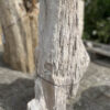 Memorial stone petrified wood 40097