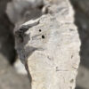 Memorial stone petrified wood 40097