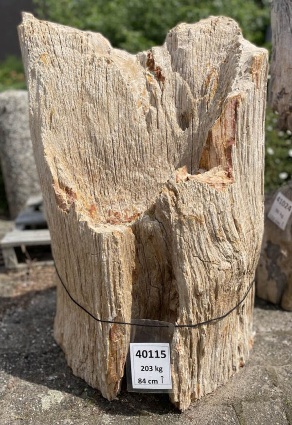 Memorial stone petrified wood 40115