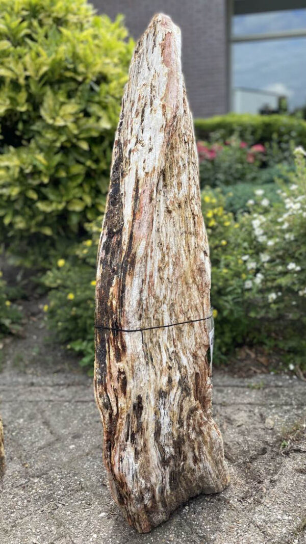 Memorial stone petrified wood 40154