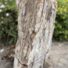 Memorial stone petrified wood 40168