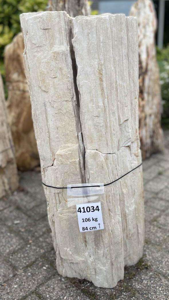 Memorial stone petrified wood 41034