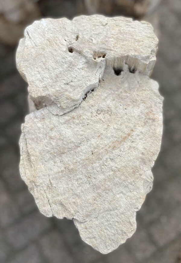 Memorial stone petrified wood 41034