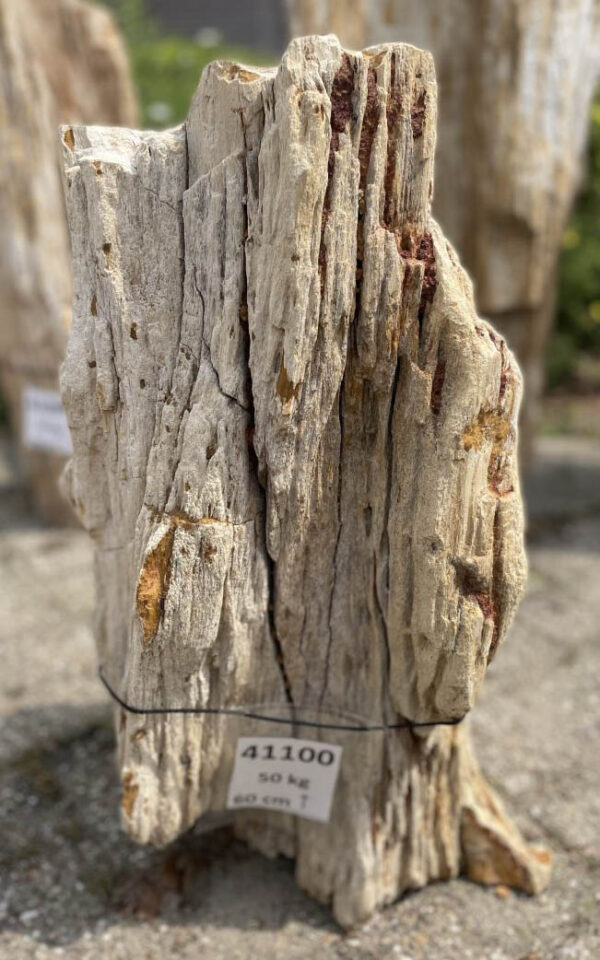 Memorial stone petrified wood 41100