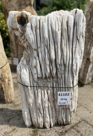 Memorial stone petrified wood 41102