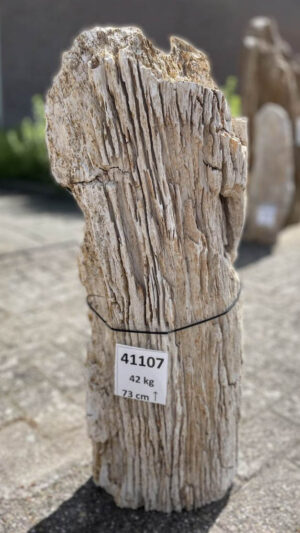 Memorial stone petrified wood 41107
