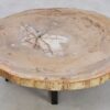 Mesa de centro madera petrificada 42142