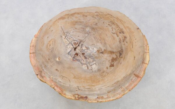Mesa de centro madera petrificada 42143