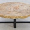 Mesa de centro madera petrificada 42194