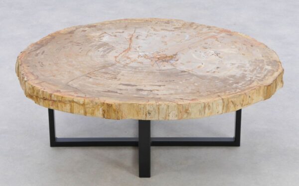 Mesa de centro madera petrificada 42196