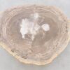Mesa de centro madera petrificada 42222