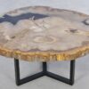 Mesa de centro madera petrificada 42236