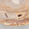 Mesa de centro madera petrificada 42244