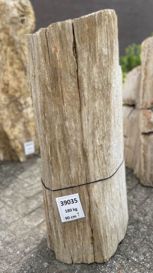 Pierre tombale bois pétrifié 39035