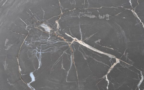 Salontafel versteend hout 42123