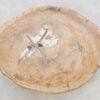 Salontafel versteend hout 42148