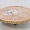 Salontafel versteend hout 42148