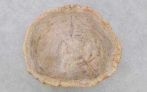 Salontafel versteend hout 42188