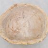 Salontafel versteend hout 42189