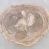 Salontafel versteend hout 42209
