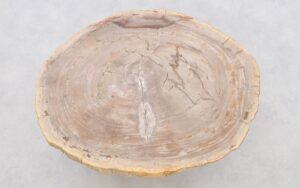 Salontafel versteend hout 42216