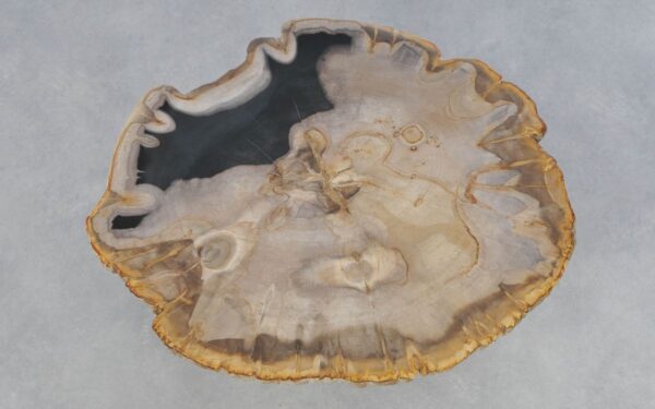 Salontafel versteend hout 42226