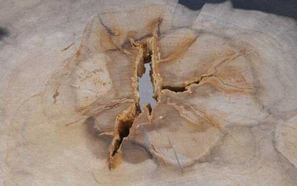 Salontafel versteend hout 42230