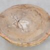 Table basse bois pétrifié 42142