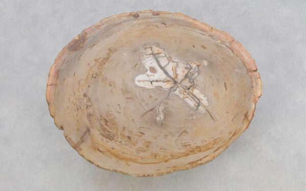 Table basse bois pétrifié 42149