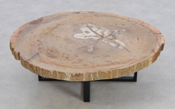 Table basse bois pétrifié 42149