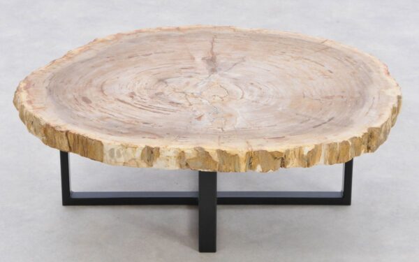 Table basse bois pétrifié 42187