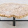 Table basse bois pétrifié 42191