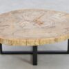 Table basse bois pétrifié 42195