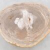 Table basse bois pétrifié 42203