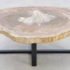 Table basse bois pétrifié 42205