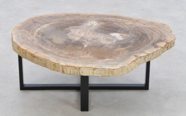 Table basse bois pétrifié 42207