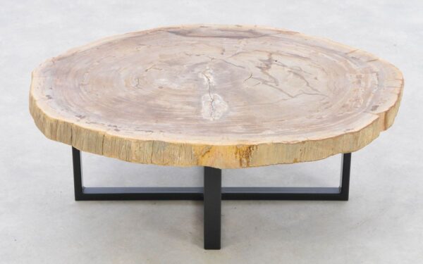 Table basse bois pétrifié 42216